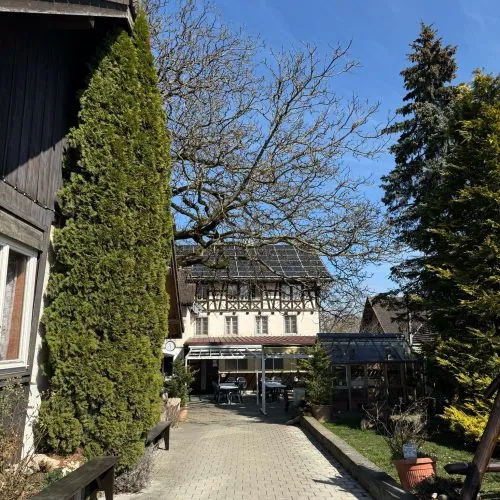 Weg zum Restaurant Steinenbühl zwischen Bäumen